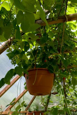 gallery_4207_2041_81789.jpg