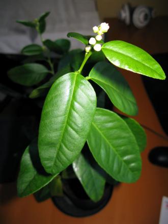 gallery_10947_664_47940.jpg