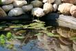 tn_gallery_24388_3586_155504.jpg