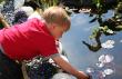 tn_gallery_24388_3586_264749.jpg