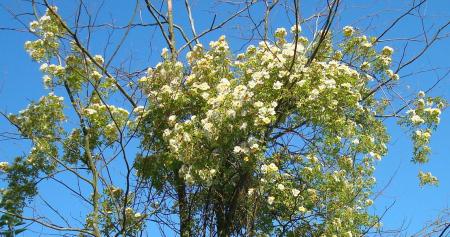 gallery_12789_2988_113327.jpg