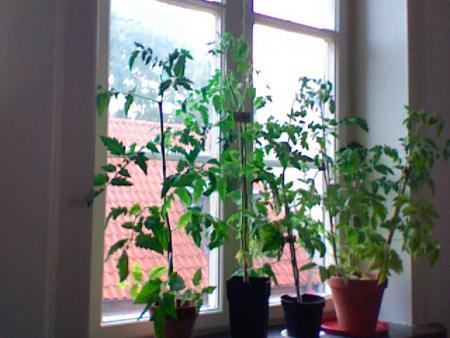 gallery_21801_3509_32526.jpg