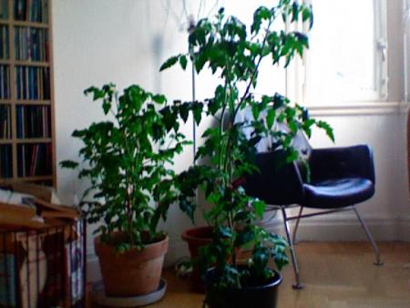 gallery_21801_3509_99702.jpg