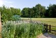 tn_gallery_12000_3452_249502.jpg
