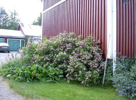 gallery_5169_3610_104134.jpg