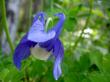 tn_gallery_5169_3610_19545.jpg
