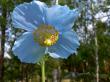 tn_gallery_5169_3610_21556.jpg