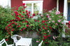 gallery_24541_3612_4623.jpg
