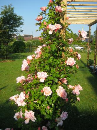 gallery_12351_2448_62136.jpg