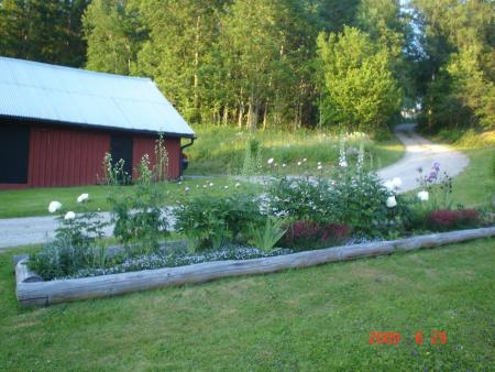 gallery_23100_3616_104640.jpg