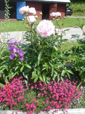 gallery_23100_3616_21791.jpg