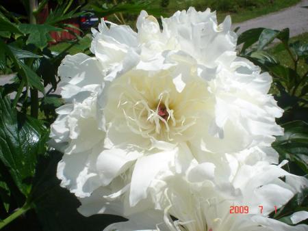 gallery_23100_3616_96934.jpg
