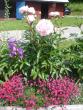 tn_gallery_23100_3616_21791.jpg