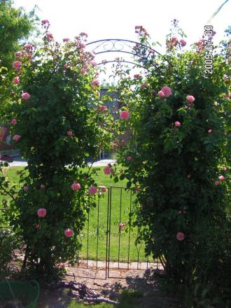 gallery_1786_2574_7567.jpg