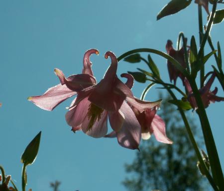 gallery_19984_3620_87382.jpg