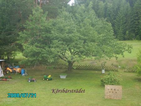 gallery_24413_3593_166323.jpg