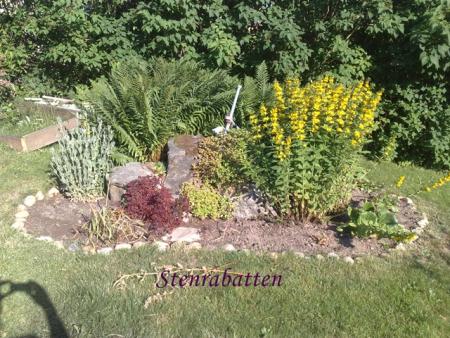 gallery_24413_3593_222773.jpg
