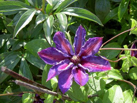 gallery_8514_2672_91307.jpg
