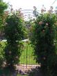 tn_gallery_1786_2574_7567.jpg