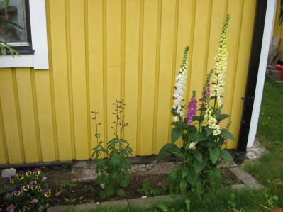 gallery_22008_3426_21309.jpg