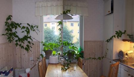 gallery_15427_2959_39989.jpg