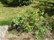 tn_gallery_22008_3426_10014.jpg