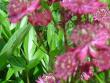 tn_gallery_4755_3217_214943.jpg