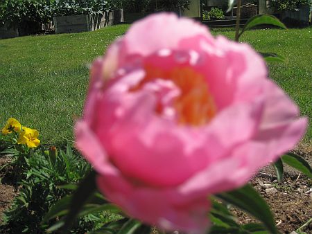gallery_7737_3567_36727.jpg