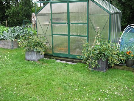 gallery_7737_3662_8068.jpg