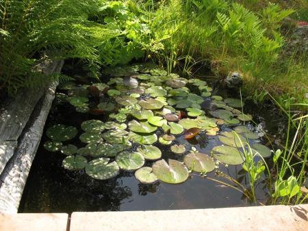 gallery_4791_3653_26524.jpg