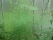 tn_gallery_7737_3662_17403.jpg