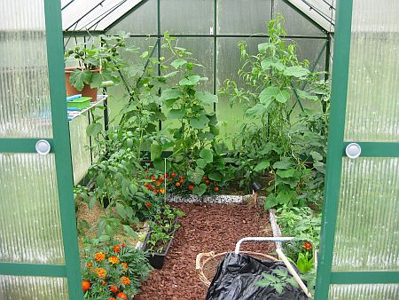 gallery_7737_3662_10384.jpg