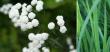 tn_gallery_23533_3541_14476.jpg