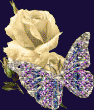 tn_gallery_24719_3649_54355.gif