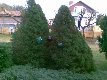 gallery_17826_3675_70840.jpg