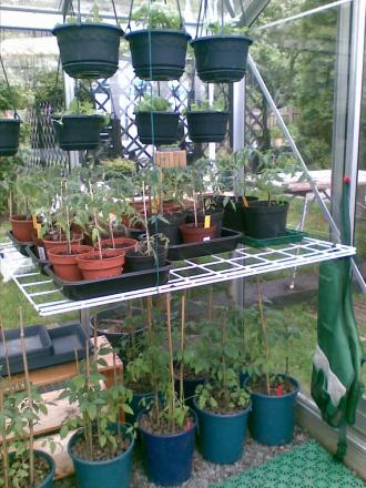 gallery_17826_2680_254393.jpg