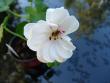 tn_gallery_5783_3312_920.jpg