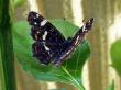 tn_gallery_5306_643_6418.jpg
