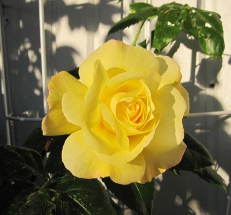 gallery_6663_2857_210757.jpg