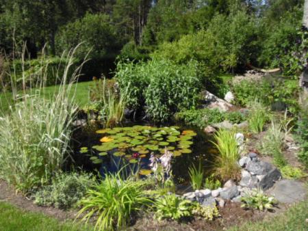 gallery_10995_3686_94419.jpg