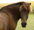 tn_gallery_1090_3693_23987.jpg