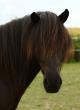 tn_gallery_1090_3693_76574.jpg