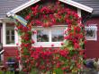tn_gallery_24134_3701_184622.jpg