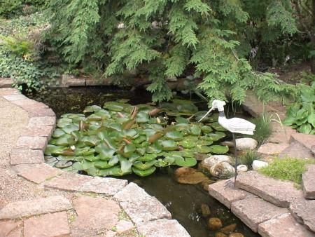 gallery_15902_2320_101954.jpg