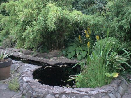 gallery_15902_2320_274079.jpg