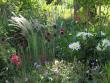 tn_gallery_100_3061_237432.jpg
