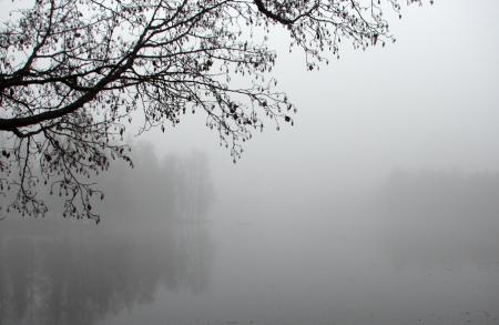 gallery_100_3061_117105.jpg