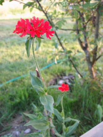 gallery_24955_3702_328548.jpg