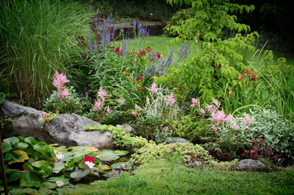 gallery_23533_3541_20575.jpg