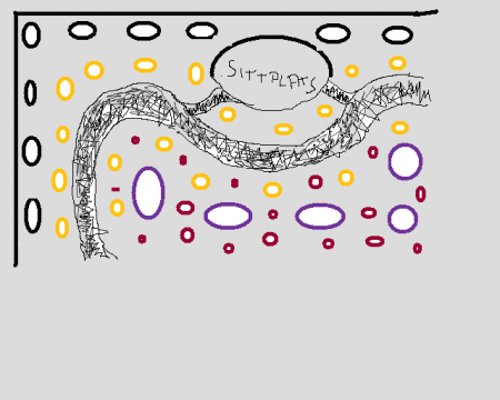 gallery_8514_2828_17500.png